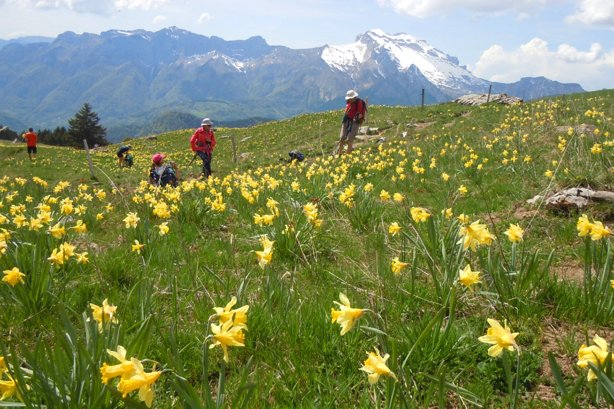 Illustration ✍️ Inscription